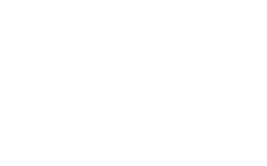 Rasber logo